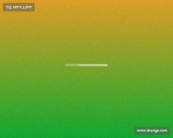 FIFA2018世界杯门票购买攻略及赛程全解析与观赛指南